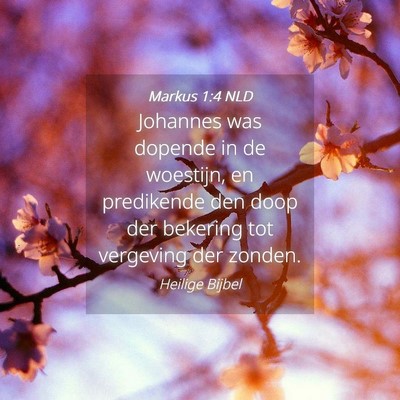 Picture 04 - Markus 1:4 NLD - Johannes was dopende in de woestijn, en - Bible Verse Picture