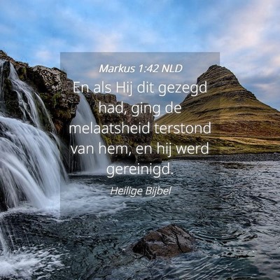 Picture 04 - Markus 1:42 NLD - En als Hij dit gezegd had, ging de melaatsheid - Bible Verse Picture
