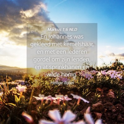 Picture 04 - Markus 1:6 NLD - En Johannes was gekleed met kemelshaar, en met - Bible Verse Picture