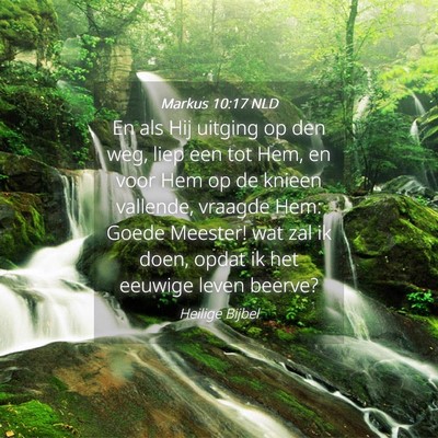 Picture 04 - Markus 10:17 NLD - En als Hij uitging op den weg, liep een tot Hem, - Bible Verse Picture