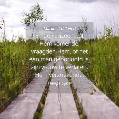 Picture 04 - Markus 10:2 NLD - En de Farizeen, tot Hem komende, vraagden Hem, of - Bible Verse Picture