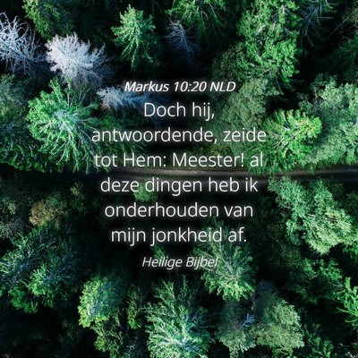 Picture 04 - Markus 10:20 NLD - Doch hij, antwoordende, zeide tot Hem: Meester! - Bible Verse Picture