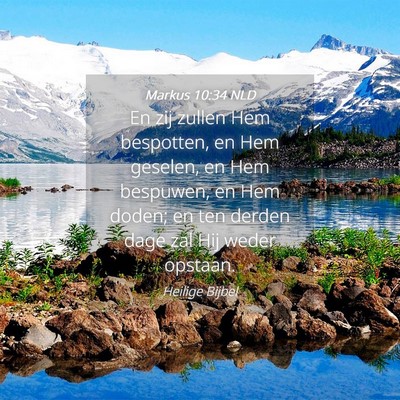 Picture 04 - Markus 10:34 NLD - En zij zullen Hem bespotten, en Hem geselen, en - Bible Verse Picture