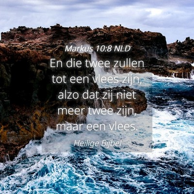 Picture 04 - Markus 10:8 NLD - En die twee zullen tot een vlees zijn, alzo dat - Bible Verse Picture
