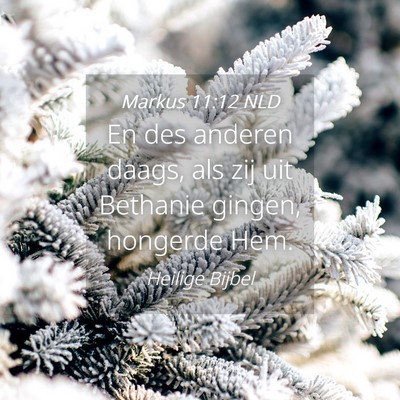 Picture 04 - Markus 11:12 NLD - En des anderen daags, als zij uit Bethanie - Bible Verse Picture