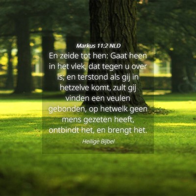 Picture 04 - Markus 11:2 NLD - En zeide tot hen: Gaat heen in het vlek, dat - Bible Verse Picture