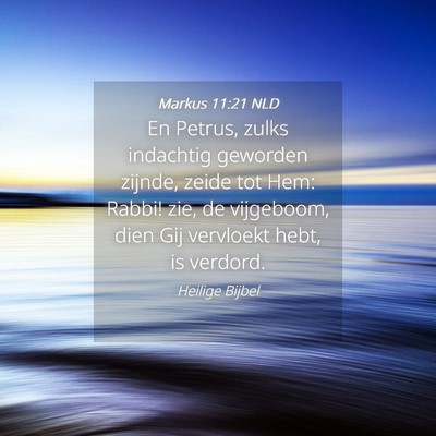 Picture 04 - Markus 11:21 NLD - En Petrus, zulks indachtig geworden zijnde, zeide - Bible Verse Picture