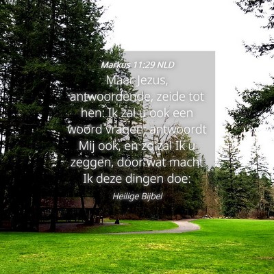 Picture 04 - Markus 11:29 NLD - Maar Jezus, antwoordende, zeide tot hen: Ik zal u - Bible Verse Picture