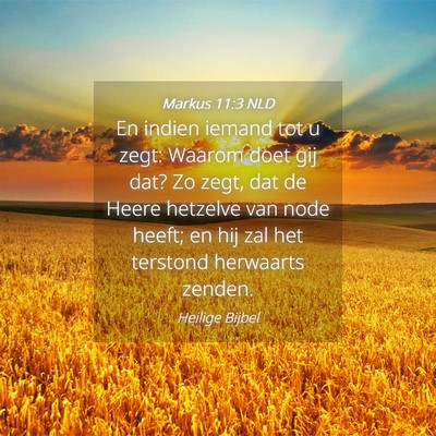Picture 04 - Markus 11:3 NLD - En indien iemand tot u zegt: Waarom doet gij dat? - Bible Verse Picture
