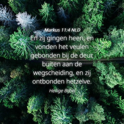 Picture 04 - Markus 11:4 NLD - En zij gingen heen, en vonden het veulen gebonden - Bible Verse Picture