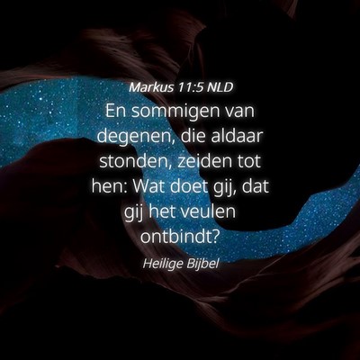 Picture 04 - Markus 11:5 NLD - En sommigen van degenen, die aldaar stonden, - Bible Verse Picture