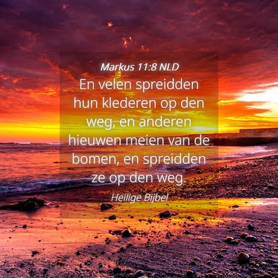 Picture 04 - Markus 11:8 NLD - En velen spreidden hun klederen op den weg, en - Bible Verse Picture