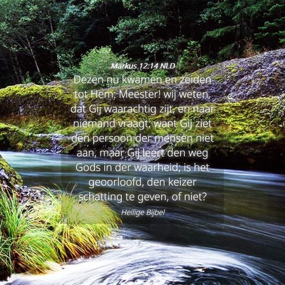 Picture 04 - Markus 12:14 NLD - Dezen nu kwamen en zeiden tot Hem: Meester! wij - Bible Verse Picture