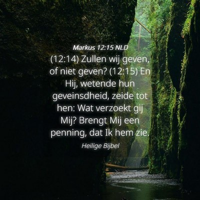 Picture 04 - Markus 12:15 NLD - (12:14) Zullen wij geven, of niet geven? (12:15) - Bible Verse Picture