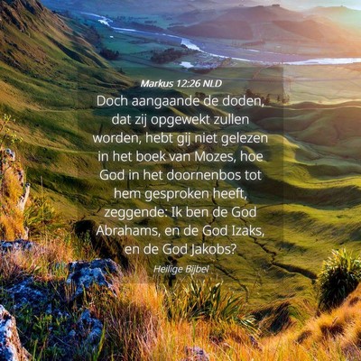 Picture 04 - Markus 12:26 NLD - Doch aangaande de doden, dat zij opgewekt zullen - Bible Verse Picture