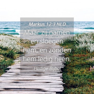 Picture 04 - Markus 12:3 NLD - Maar zij namen en sloegen hem, en zonden hem - Bible Verse Picture