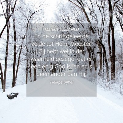 Picture 04 - Markus 12:32 NLD - En de schriftgeleerde zeide tot Hem: Meester, Gij - Bible Verse Picture