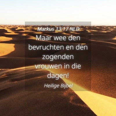 Picture 04 - Markus 13:17 NLD - Maar wee den bevruchten en den zogenden vrouwen - Bible Verse Picture