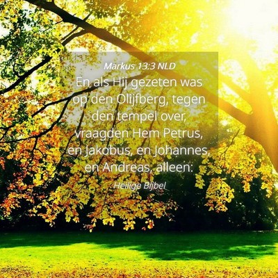 Picture 04 - Markus 13:3 NLD - En als Hij gezeten was op den Olijfberg, tegen - Bible Verse Picture