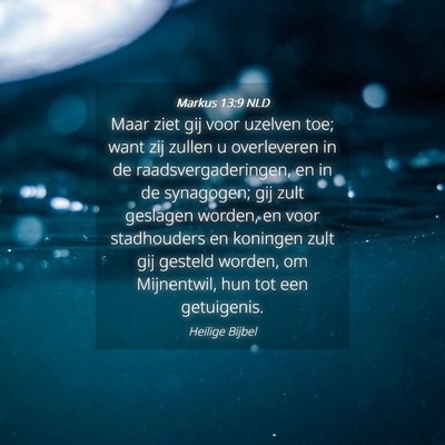 Picture 04 - Markus 13:9 NLD - Maar ziet gij voor uzelven toe; want zij zullen u - Bible Verse Picture