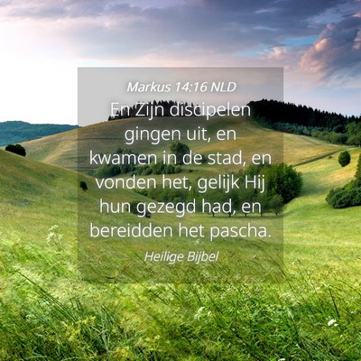 Picture 04 - Markus 14:16 NLD - En Zijn discipelen gingen uit, en kwamen in de - Bible Verse Picture