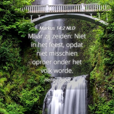 Picture 04 - Markus 14:2 NLD - Maar zij zeiden: Niet in het feest, opdat niet - Bible Verse Picture