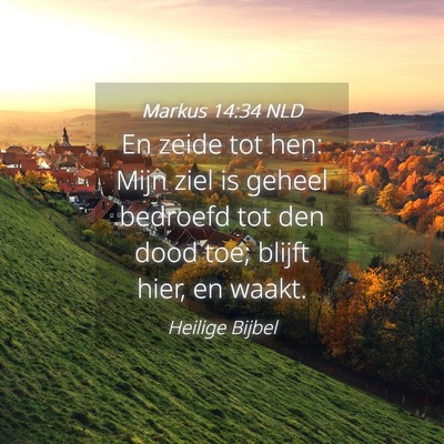 Picture 04 - Markus 14:34 NLD - En zeide tot hen: Mijn ziel is geheel bedroefd - Bible Verse Picture