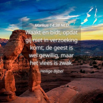 Picture 04 - Markus 14:38 NLD - Waakt en bidt, opdat gij niet in verzoeking komt; - Bible Verse Picture