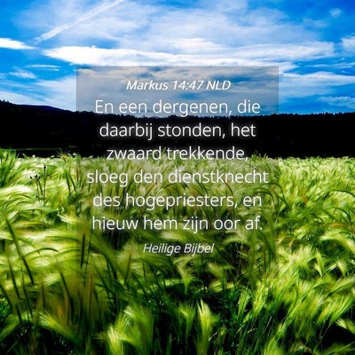 Picture 04 - Markus 14:47 NLD - En een dergenen, die daarbij stonden, het zwaard - Bible Verse Picture