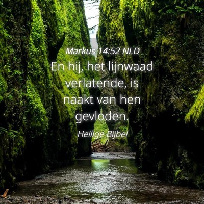 Picture 04 - Markus 14:52 NLD - En hij, het lijnwaad verlatende, is naakt van hen - Bible Verse Picture