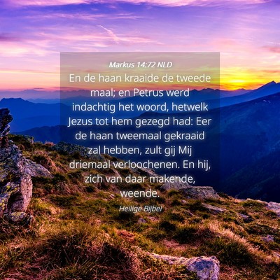 Picture 04 - Markus 14:72 NLD - En de haan kraaide de tweede maal; en Petrus werd - Bible Verse Picture