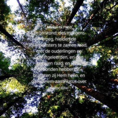 Picture 04 - Markus 15:1 NLD - En terstond, des morgens vroeg, hielden de - Bible Verse Picture
