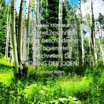 Picture 04 - Markus 15:26 NLD - En het opschrift Zijner beschuldiging was boven - Bible Verse Picture