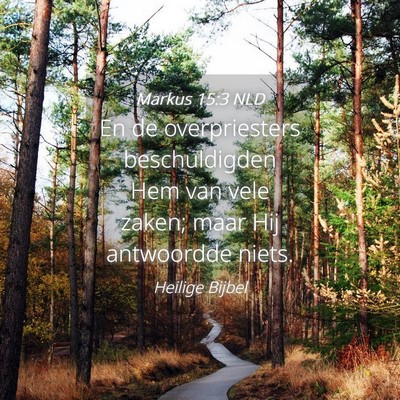 Picture 04 - Markus 15:3 NLD - En de overpriesters beschuldigden Hem van vele - Bible Verse Picture