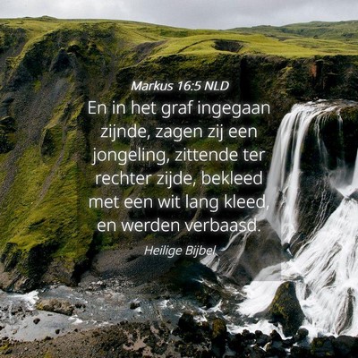 Picture 04 - Markus 16:5 NLD - En in het graf ingegaan zijnde, zagen zij een - Bible Verse Picture