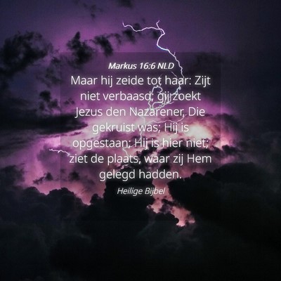 Picture 04 - Markus 16:6 NLD - Maar hij zeide tot haar: Zijt niet verbaasd; gij - Bible Verse Picture