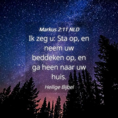 Picture 04 - Markus 2:11 NLD - Ik zeg u: Sta op, en neem uw beddeken op, en ga - Bible Verse Picture