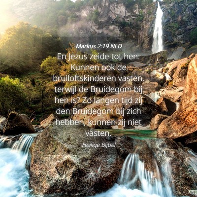 Picture 04 - Markus 2:19 NLD - En Jezus zeide tot hen: Kunnen ook de - Bible Verse Picture