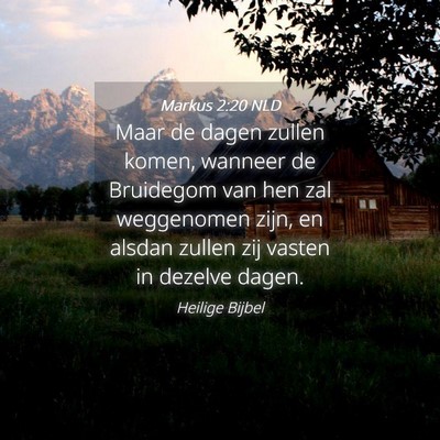 Picture 04 - Markus 2:20 NLD - Maar de dagen zullen komen, wanneer de Bruidegom - Bible Verse Picture