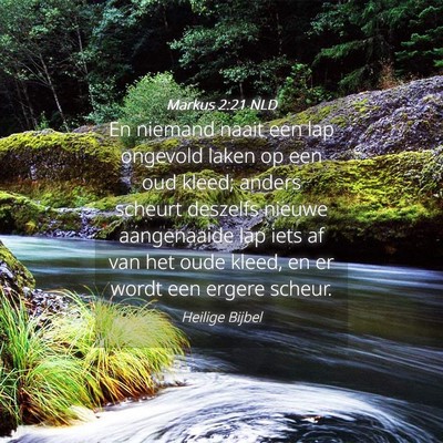 Picture 04 - Markus 2:21 NLD - En niemand naait een lap ongevold laken op een - Bible Verse Picture