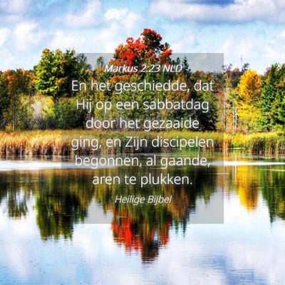 Picture 04 - Markus 2:23 NLD - En het geschiedde, dat Hij op een sabbatdag door - Bible Verse Picture