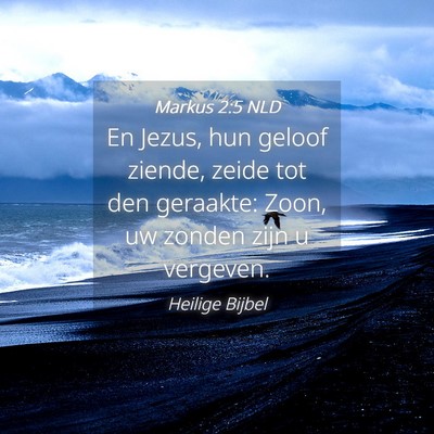 Picture 04 - Markus 2:5 NLD - En Jezus, hun geloof ziende, zeide tot den - Bible Verse Picture