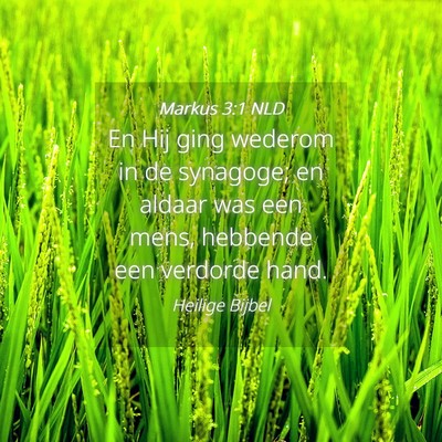 Picture 04 - Markus 3:1 NLD - En Hij ging wederom in de synagoge; en aldaar was - Bible Verse Picture