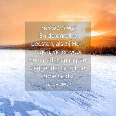 Picture 04 - Markus 3:11 NLD - En de onreine geesten, als zij Hem zagen, vielen - Bible Verse Picture