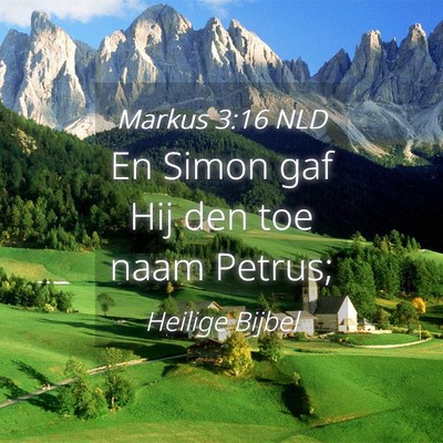 Picture 04 - Markus 3:16 NLD - En Simon gaf Hij den toe naam - Bible Verse Picture
