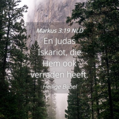 Picture 04 - Markus 3:19 NLD - En Judas Iskariot, die Hem ook verraden - Bible Verse Picture