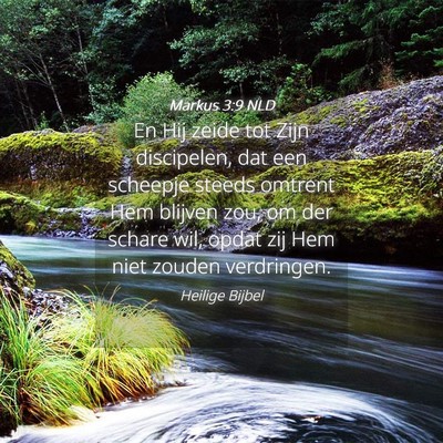 Picture 04 - Markus 3:9 NLD - En Hij zeide tot Zijn discipelen, dat een - Bible Verse Picture