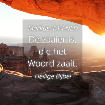 Picture 04 - Markus 4:14 NLD - De zaaier is, die het Woord - Bible Verse Picture