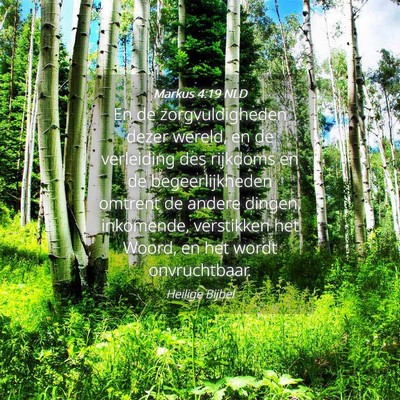 Picture 04 - Markus 4:19 NLD - En de zorgvuldigheden dezer wereld, en de - Bible Verse Picture