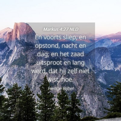 Picture 04 - Markus 4:27 NLD - En voorts sliep, en opstond, nacht en dag; en het - Bible Verse Picture